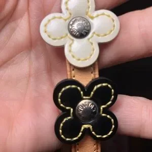 Louis Vuitton | Accessories  display picture 3